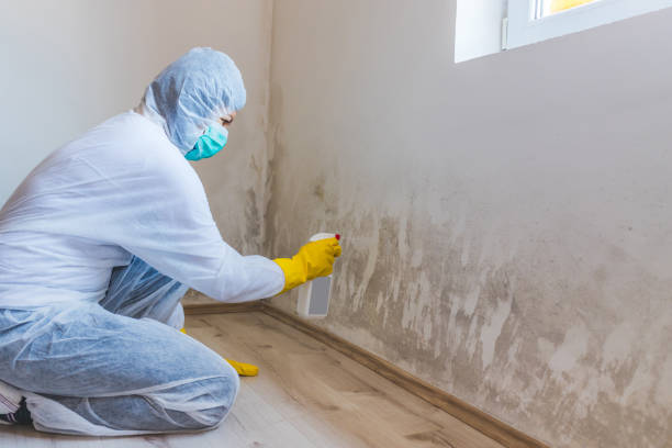 Hvac And Air Duct Mold Remediation inspection of HVAC system in Saugus